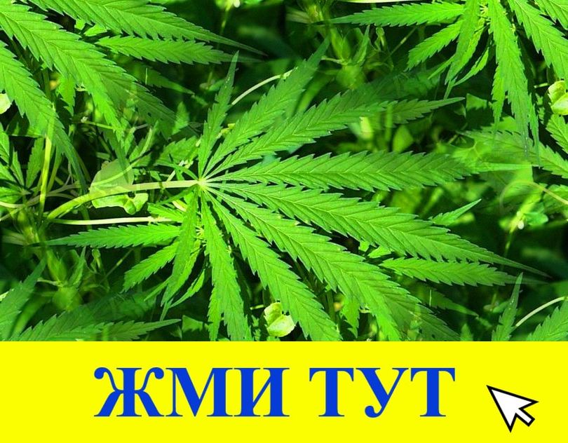 Купить наркотики в Тихвине